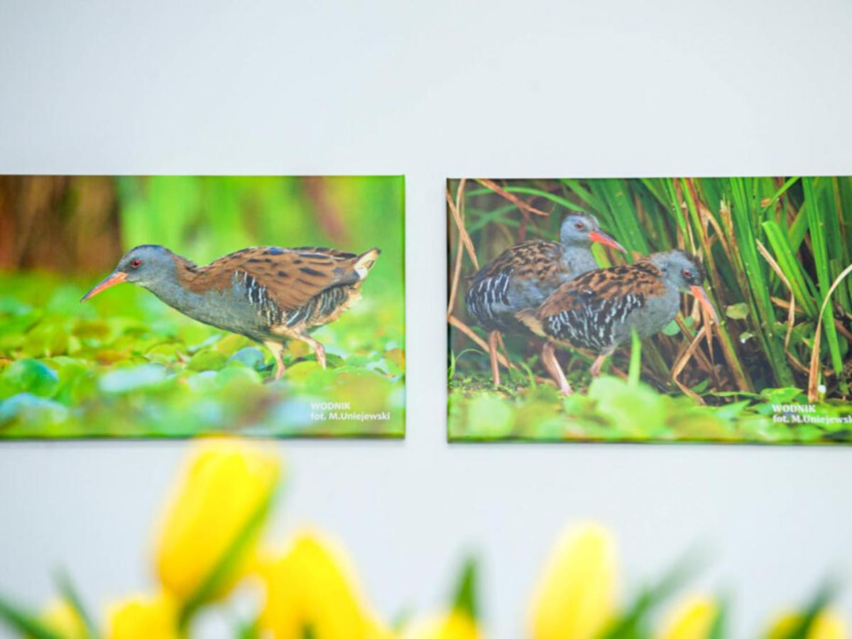 Bed and Breakfast Gosciniec Ptasi Zaulek Нєхоже Екстер'єр фото